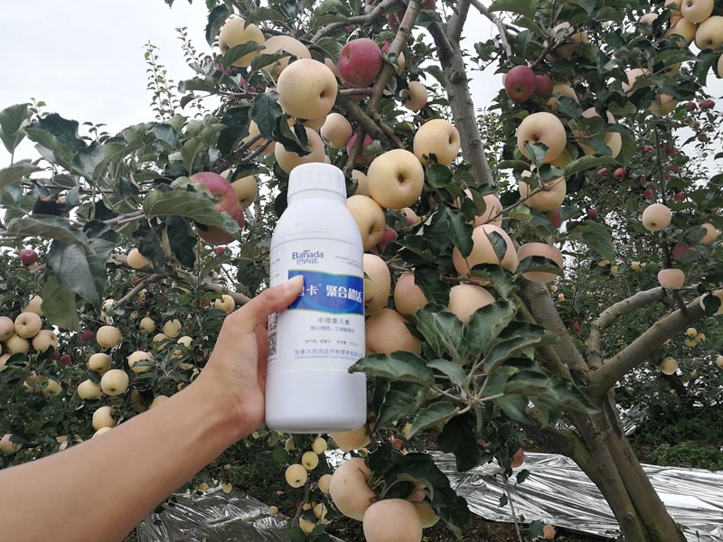 中微量元素水溶肥有那些優勢