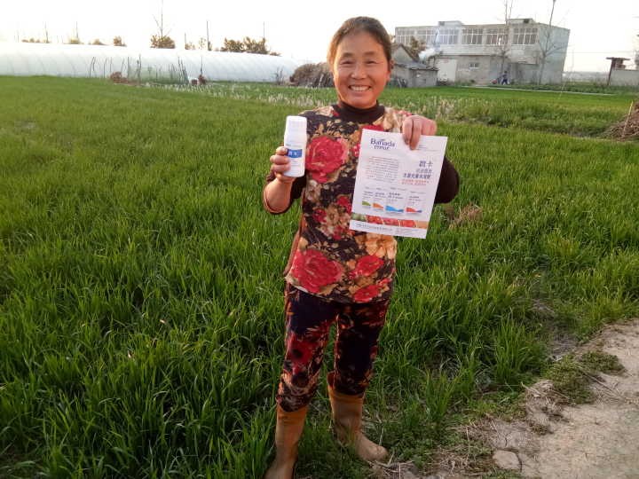 葉面肥哪個好？促進小麥提質(zhì)增產(chǎn)