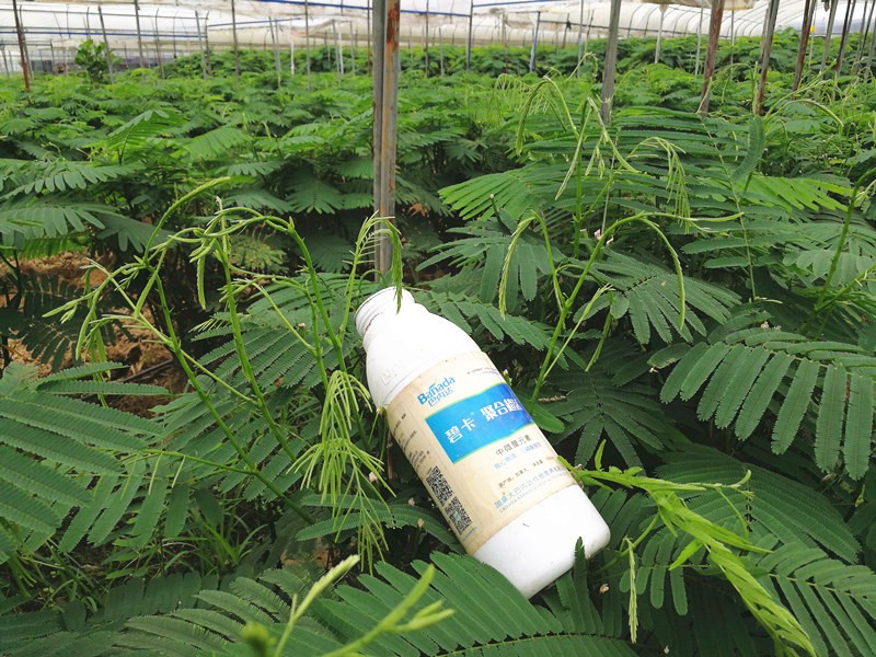 鈣肥的作用及使用方法