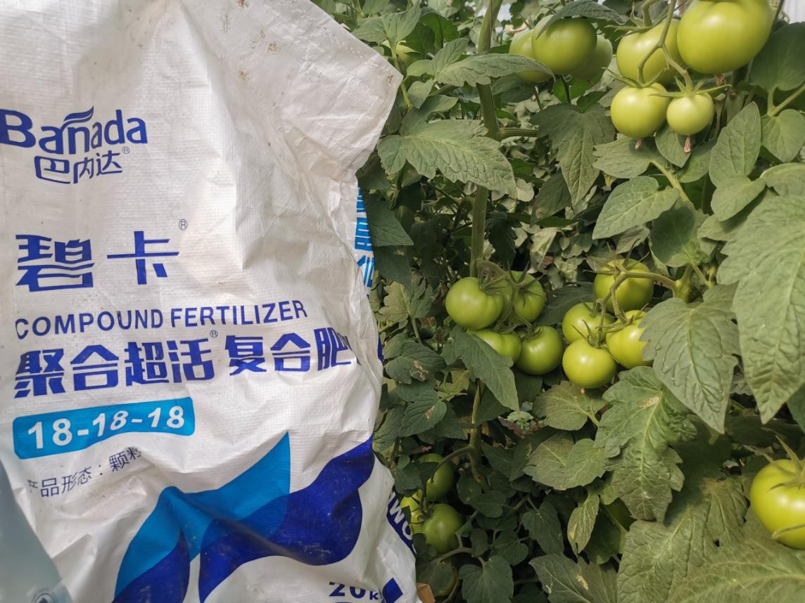 碧卡水溶肥怎么樣