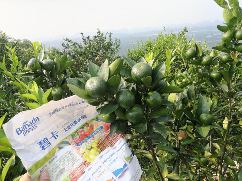 水溶肥廠家提示：果樹正確施肥的重要性