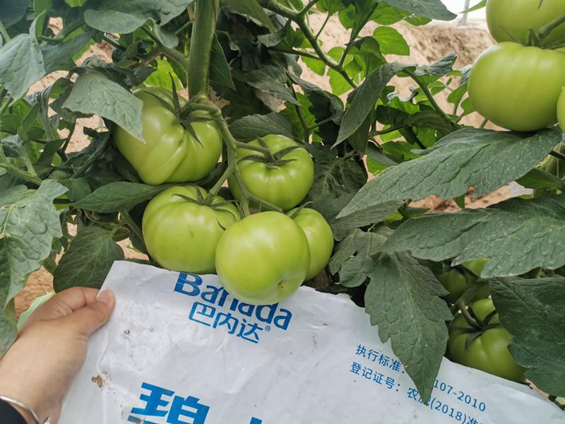 水溶肥的發(fā)展必要性