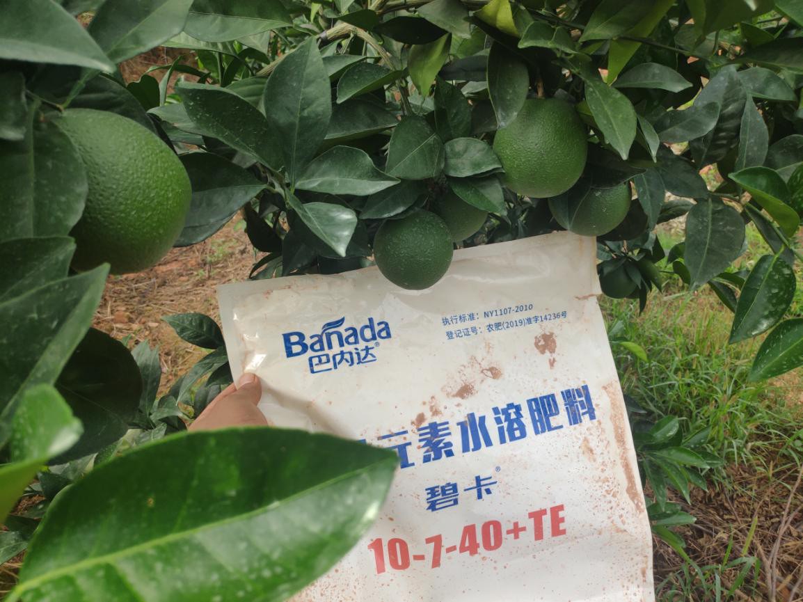 水溶肥的優(yōu)勢(shì)有哪些？