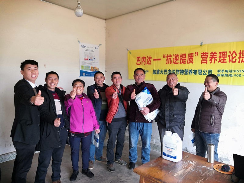 水溶肥為什么那么受歡迎？