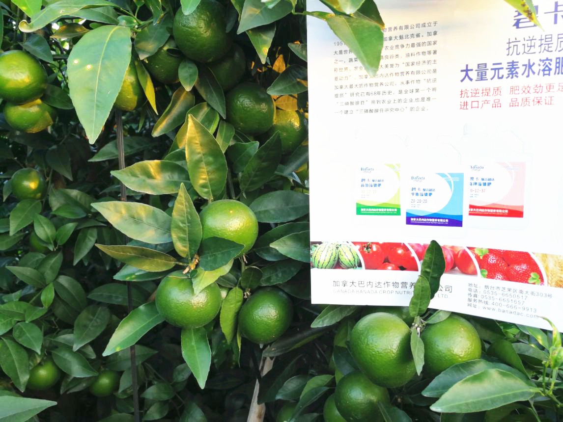 高氮水溶肥的作用是什么？